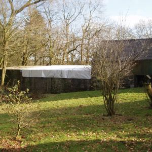 Gallery 5