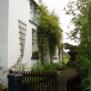 Gallery 2