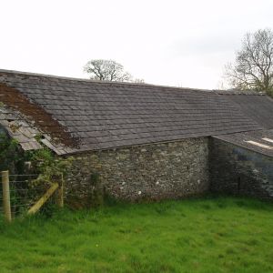 Gallery 3