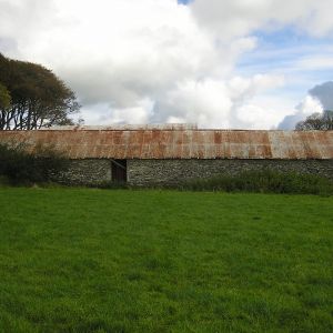 Gallery 7