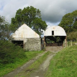 Gallery 8