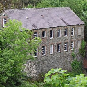 Gallery 5